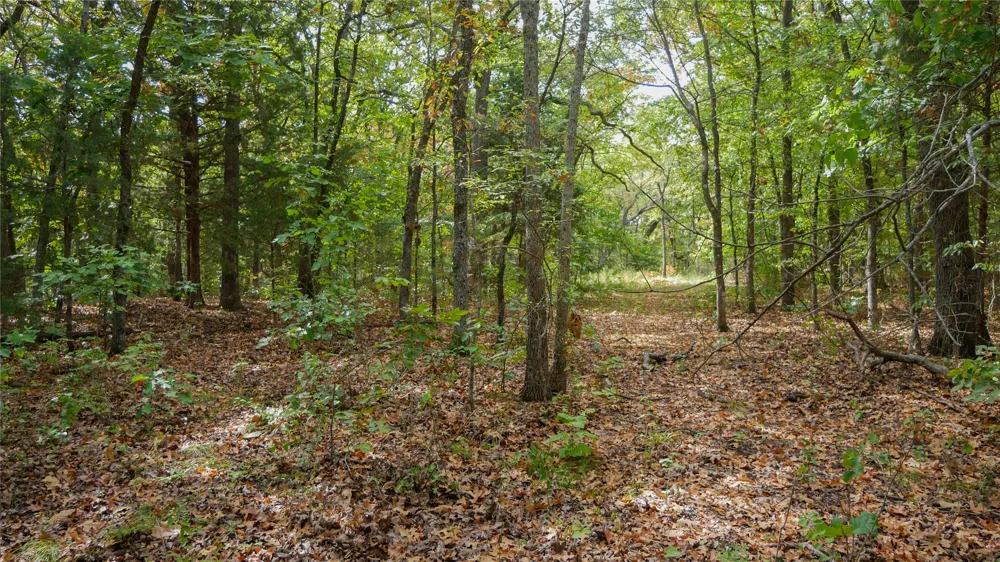 17500 County Road 3470 Roff, OK 74865