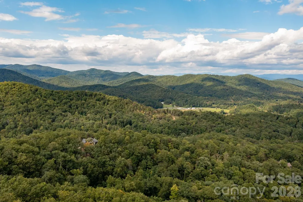 559 Shining Rock Path Horse Shoe, NC 28742