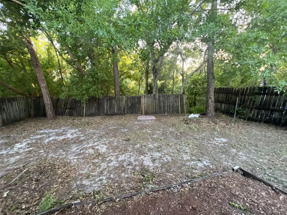 4843 BILLY DIRECT LANE Lutz, FL 33559
