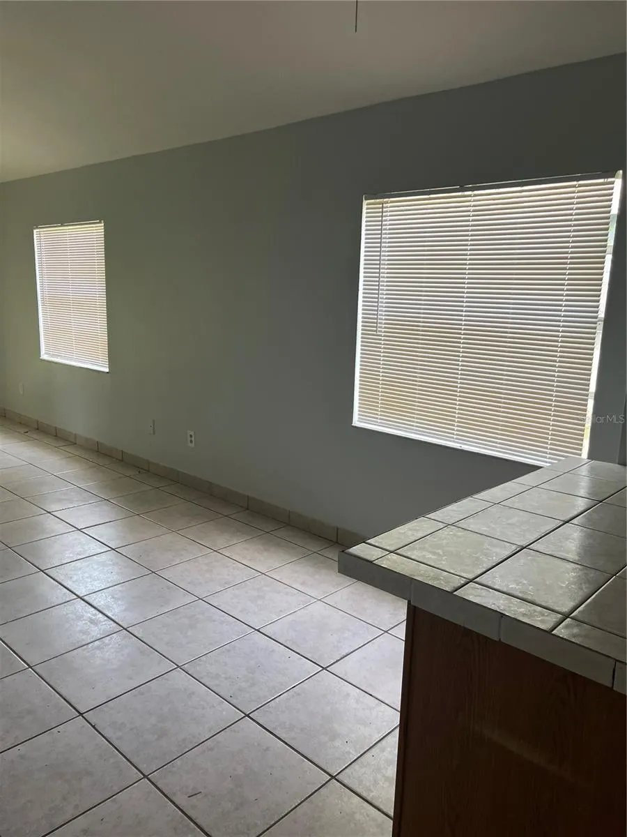 4843 BILLY DIRECT LANE Lutz, FL 33559