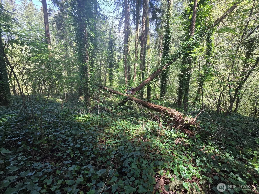0 NE 45th Avenue Vancouver, WA 98686