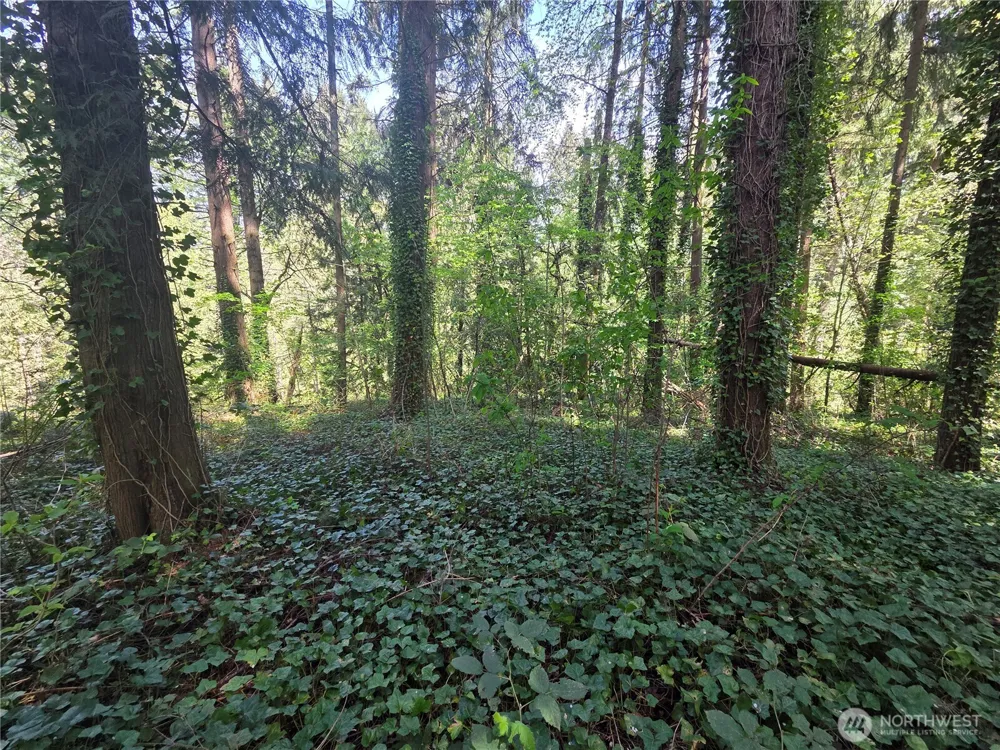 0 NE 45th Avenue Vancouver, WA 98686