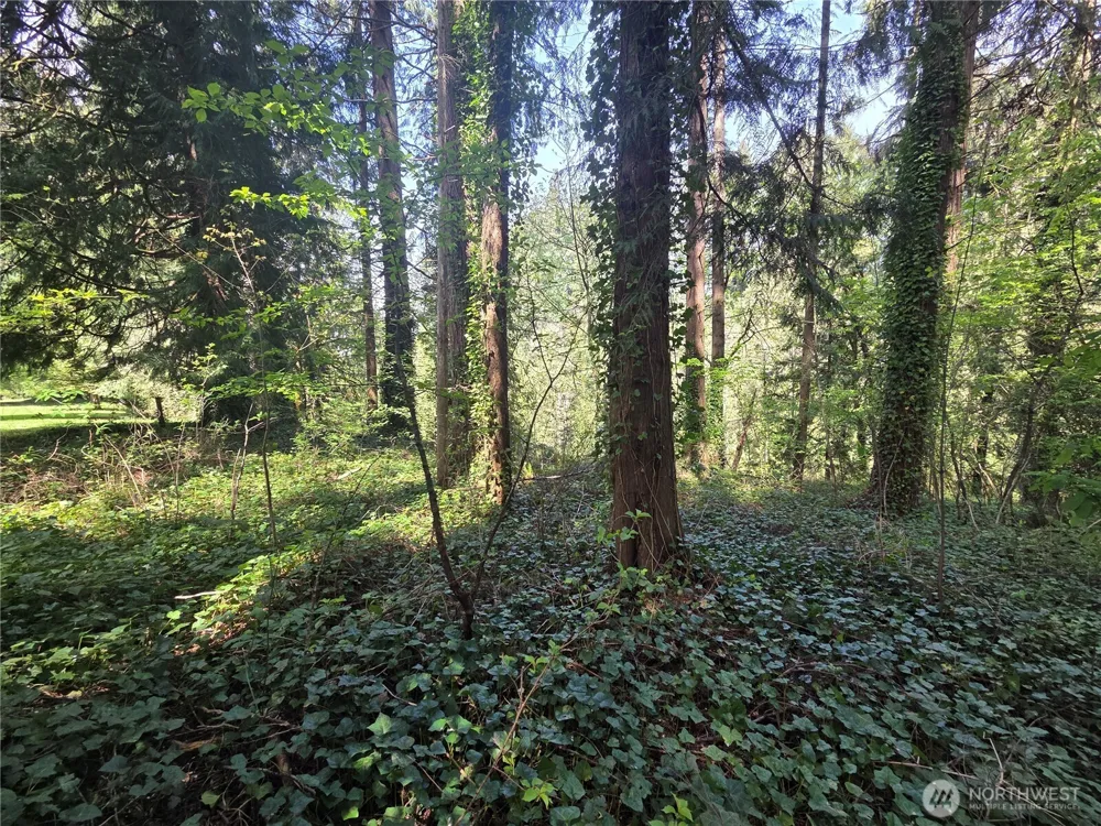 0 NE 45th Avenue Vancouver, WA 98686