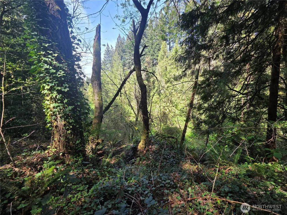 0 NE 45th Avenue Vancouver, WA 98686