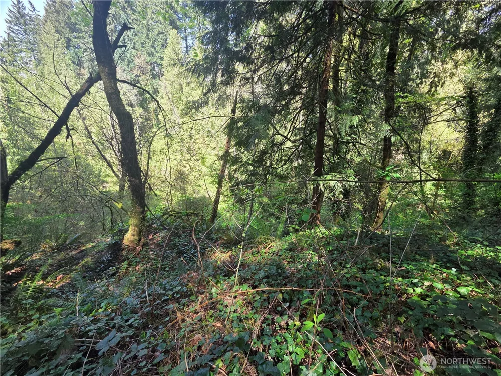 0 NE 45th Avenue Vancouver, WA 98686