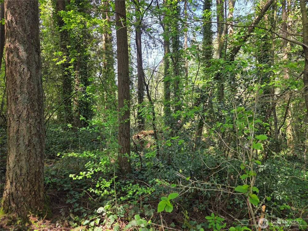 0 NE 45th Avenue Vancouver, WA 98686