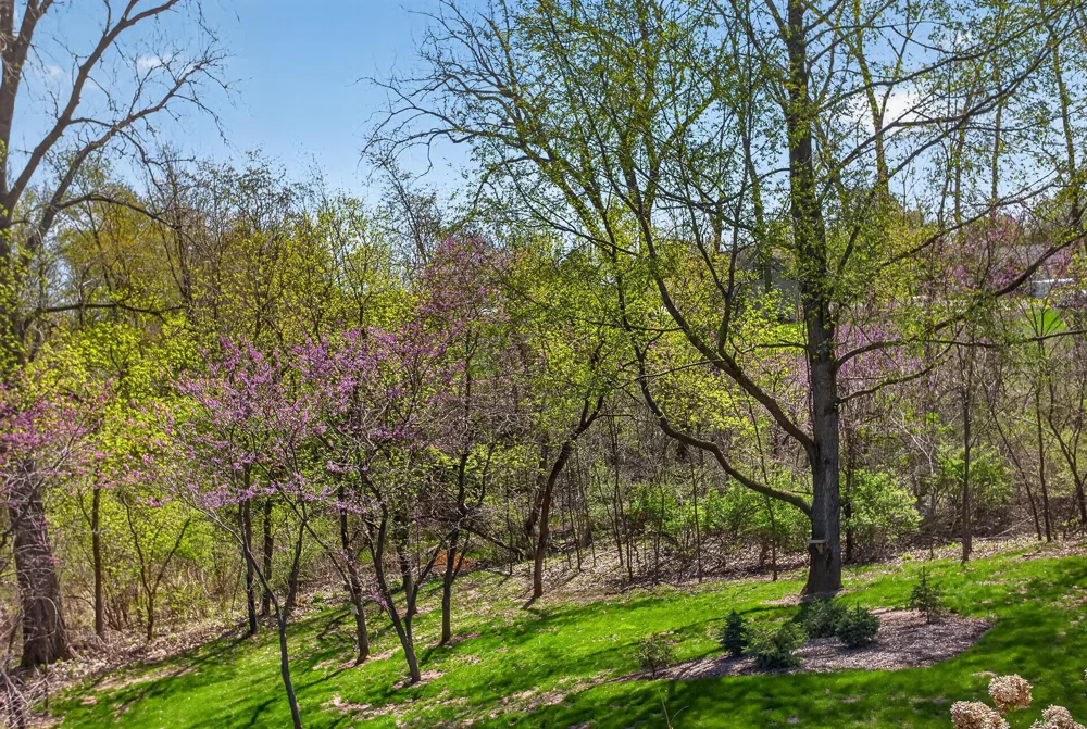 14840 Killorglin Lane Cement City, MI 49233