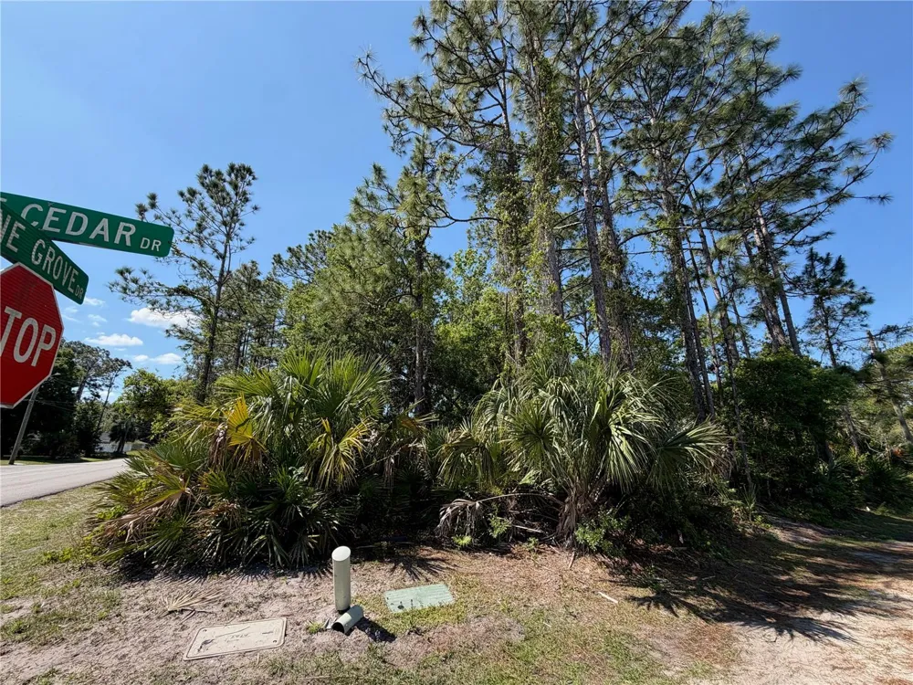 60 PINE CEDAR DRIVE Palm Coast, FL 32164