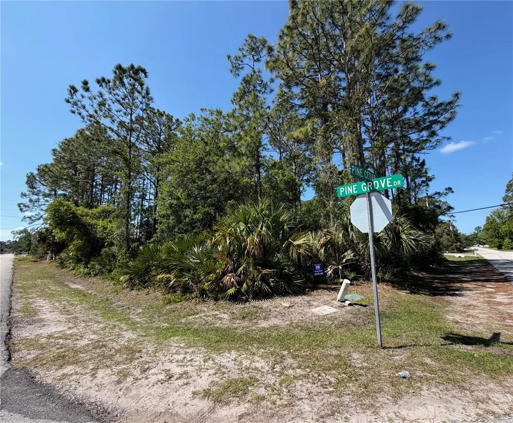 60 PINE CEDAR DRIVE Palm Coast, FL 32164