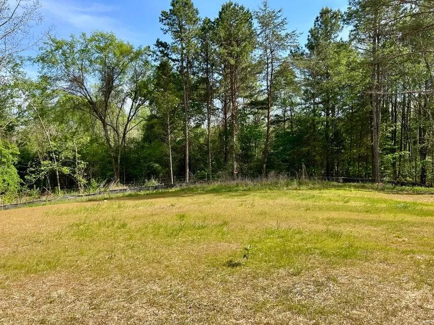 224 Sable Road Spring City, TN 37381