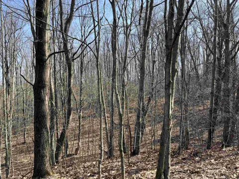 Deerfield Trail