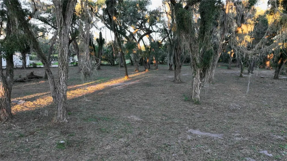 MUCK POND ROAD Seffner, FL 33584