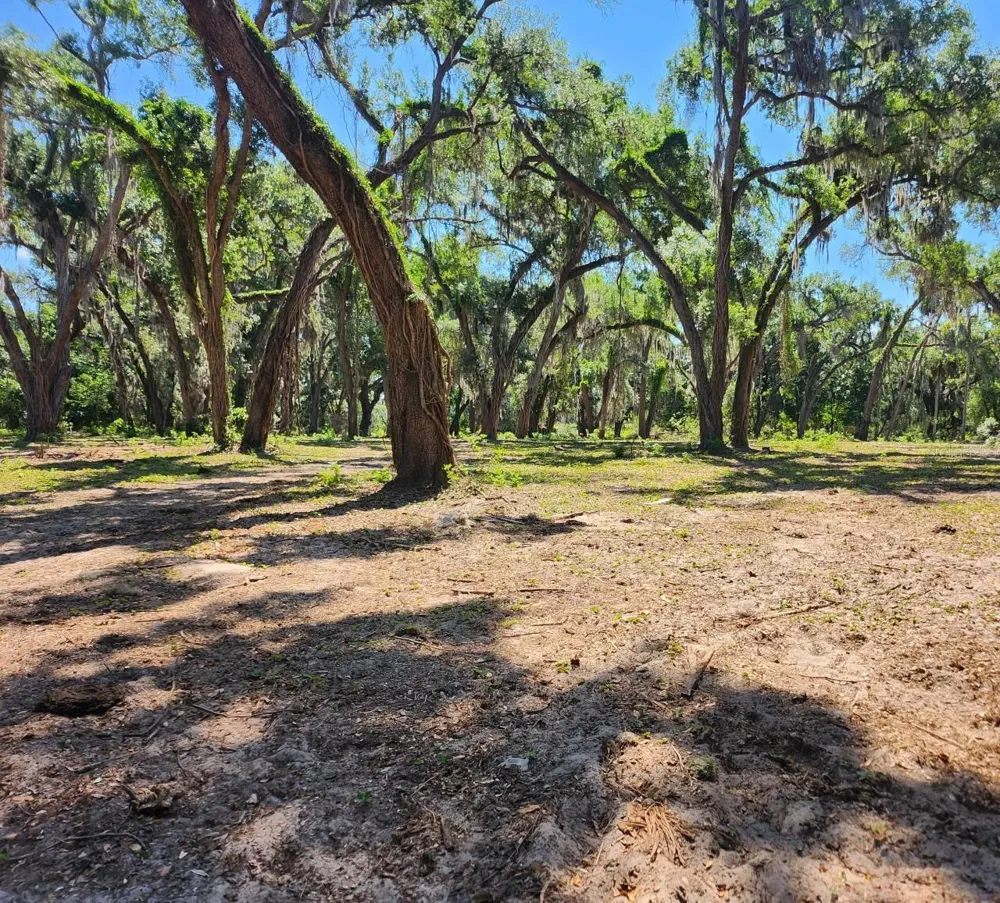 MUCK POND ROAD Seffner, FL 33584