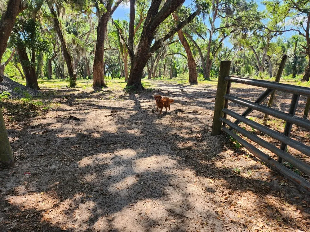 MUCK POND ROAD Seffner, FL 33584