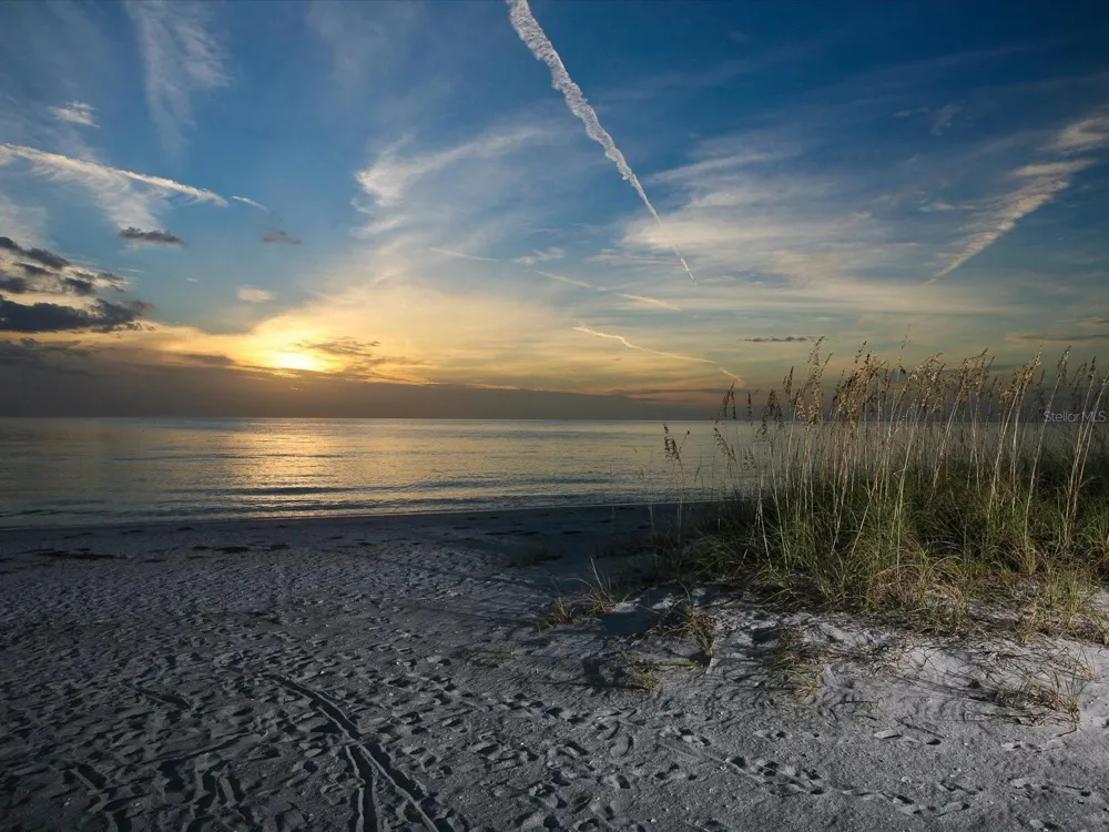 708 TAMIAMI TRAIL S #105 Venice, FL 34285