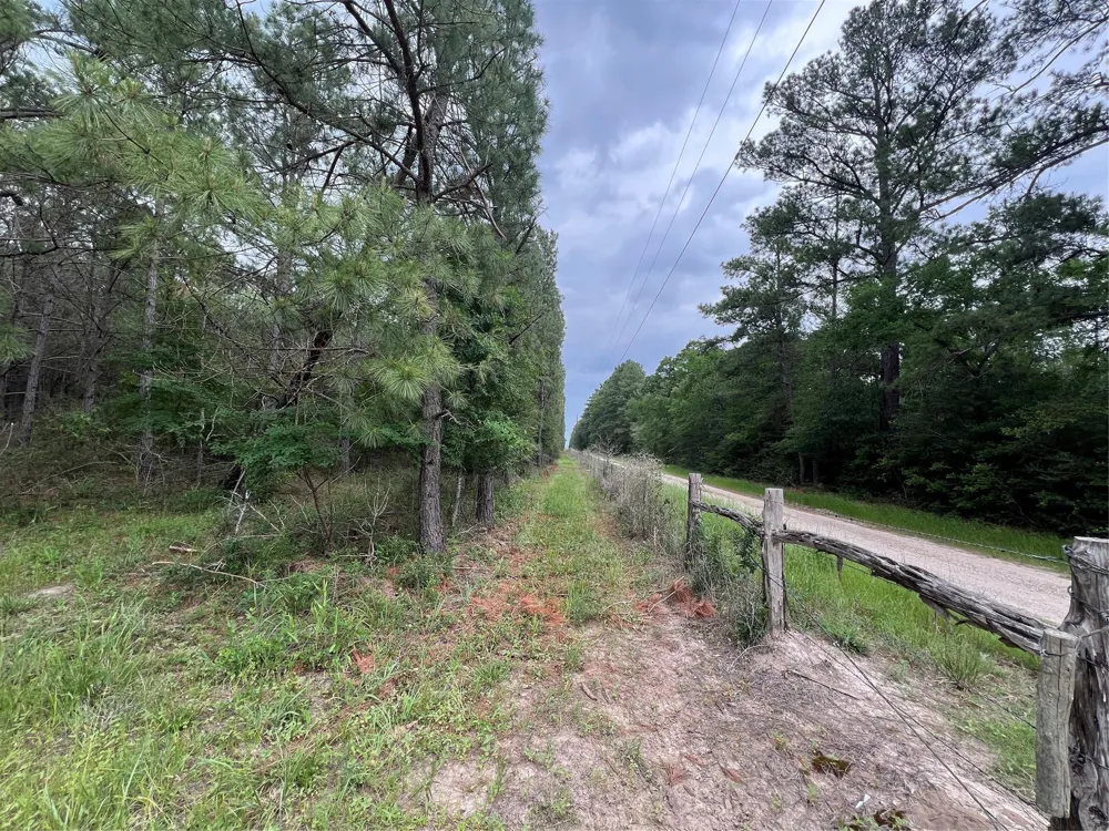 1 Eubanks Road Bedias, TX 77831
