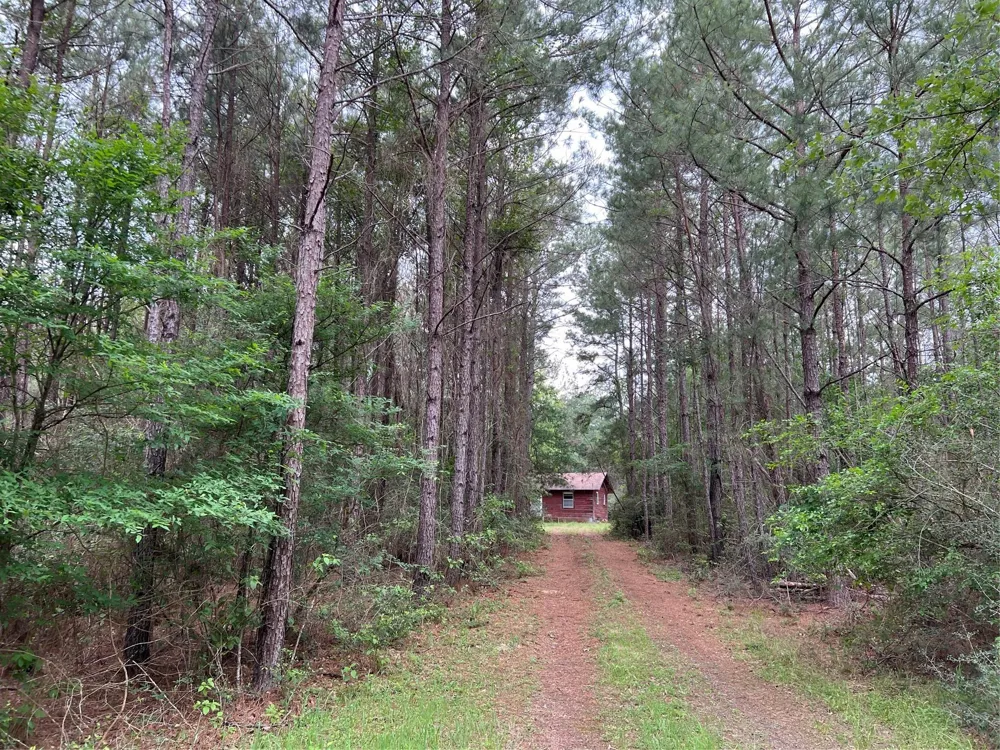 1 Eubanks Road Bedias, TX 77831