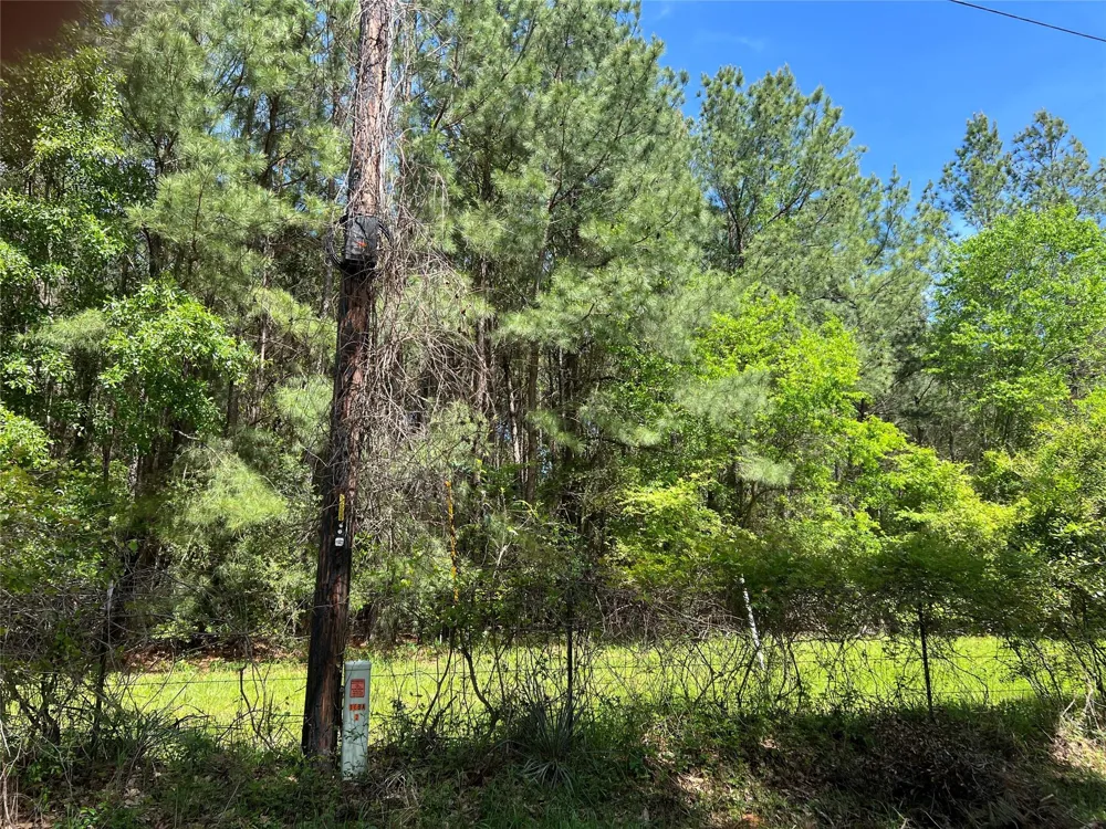 1 Eubanks Road Bedias, TX 77831