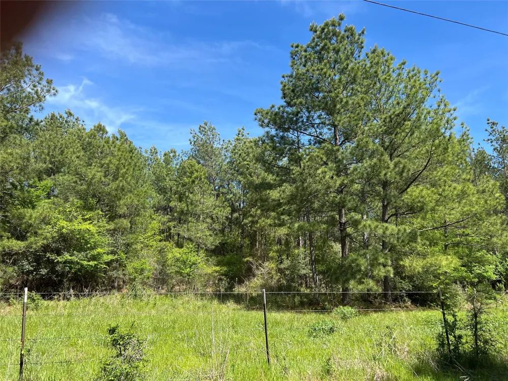1 Eubanks Road Bedias, TX 77831