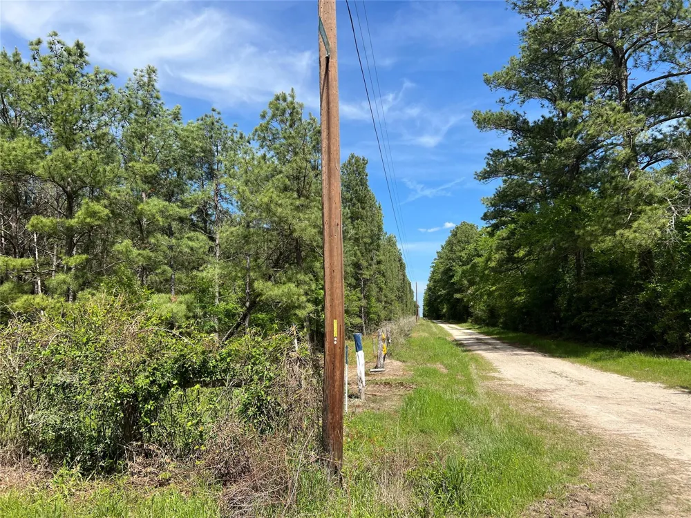 1 Eubanks Road Bedias, TX 77831