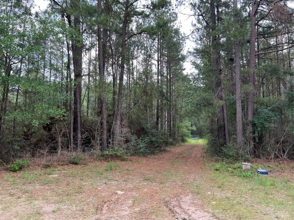 1 Eubanks Road Bedias, TX 77831