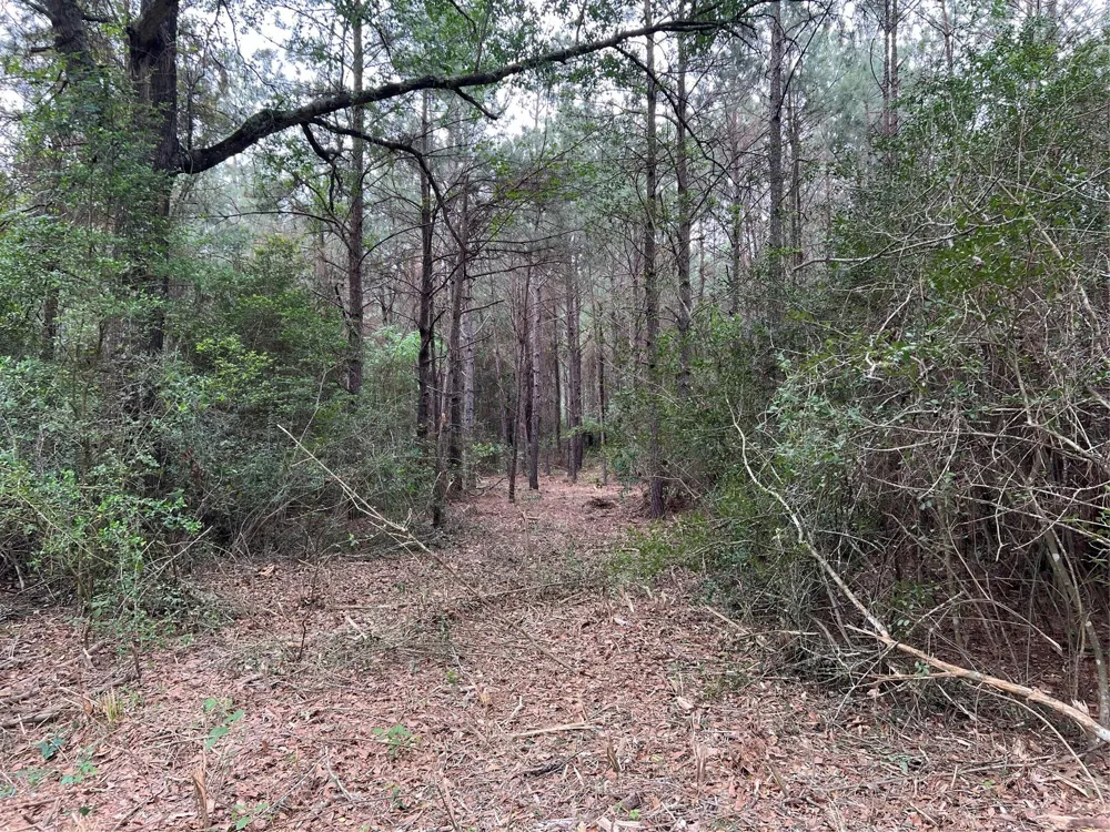 1 Eubanks Road Bedias, TX 77831