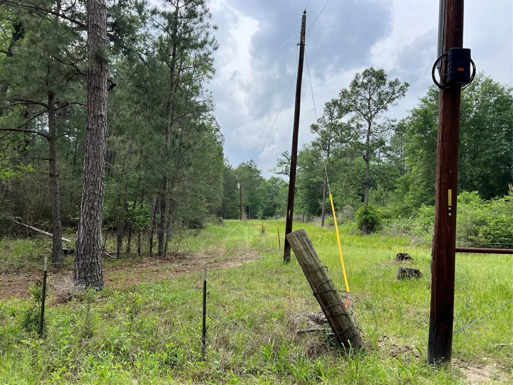 1 Eubanks Road Bedias, TX 77831