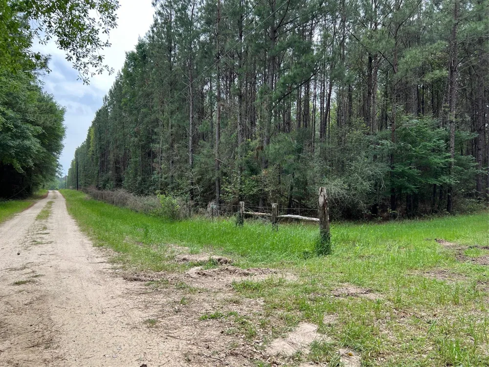 1 Eubanks Road Bedias, TX 77831