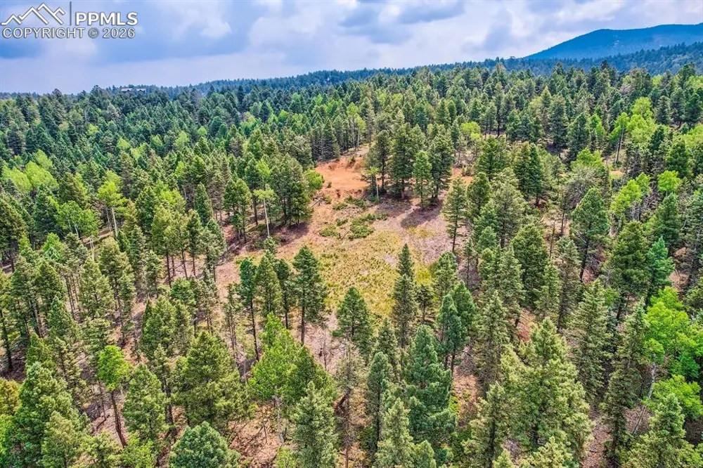 4600 Elk Valley Road Divide, CO 80814