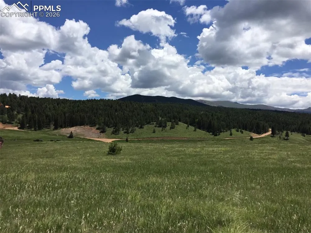 4600 Elk Valley Road Divide, CO 80814
