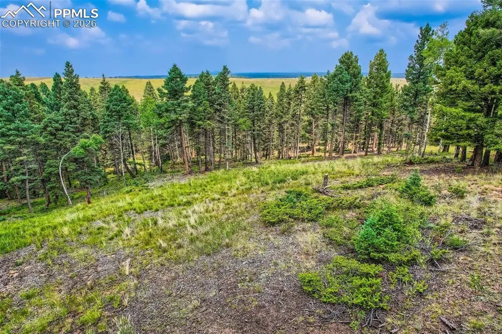 4600 Elk Valley Road Divide, CO 80814