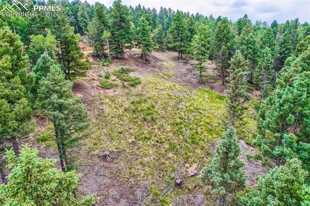4600 Elk Valley Road Divide, CO 80814