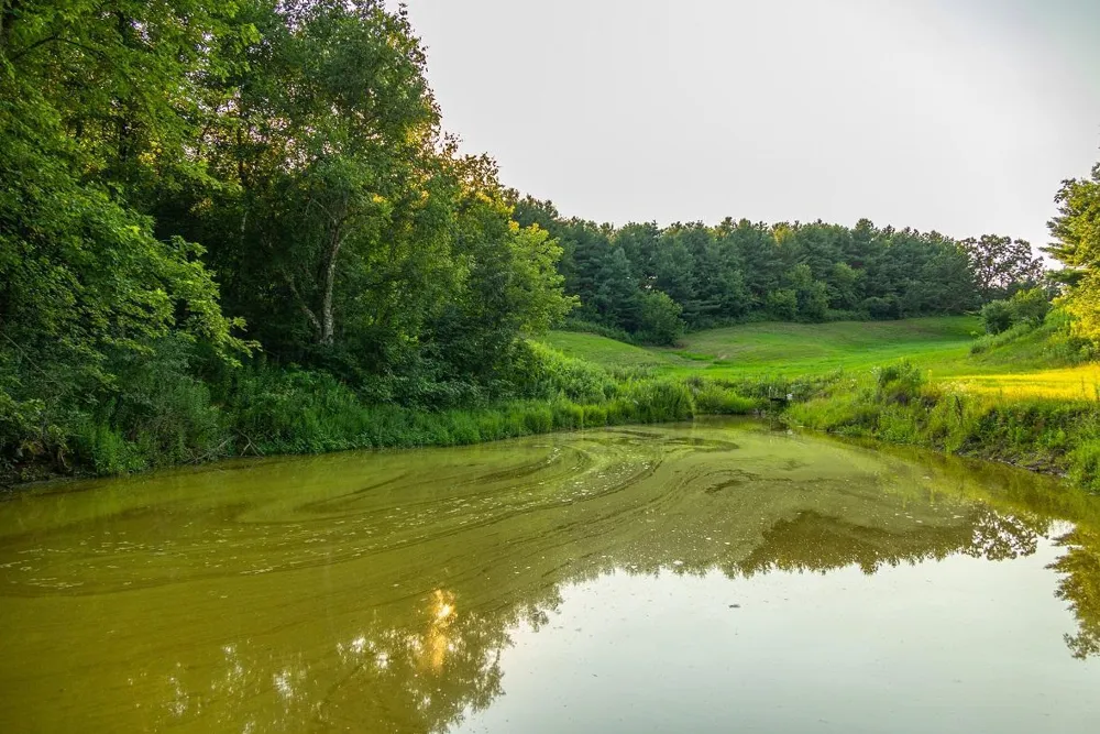 TBD County S Road Blair, WI 54616