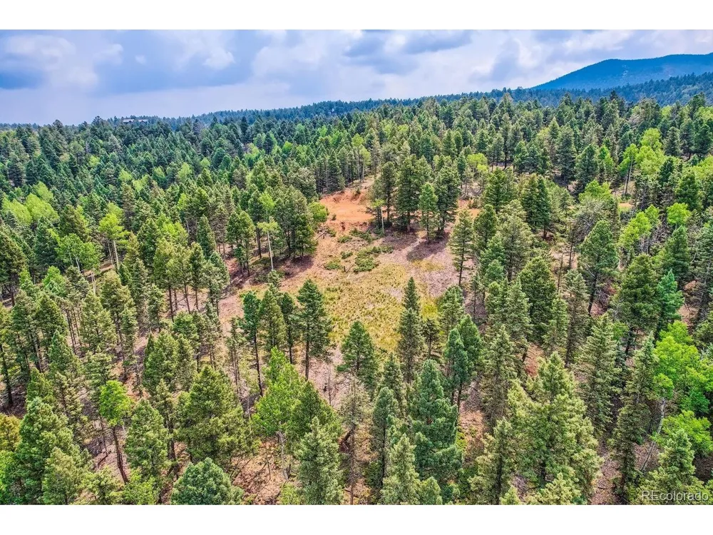 4600 Elk Valley Road Divide, CO 80814