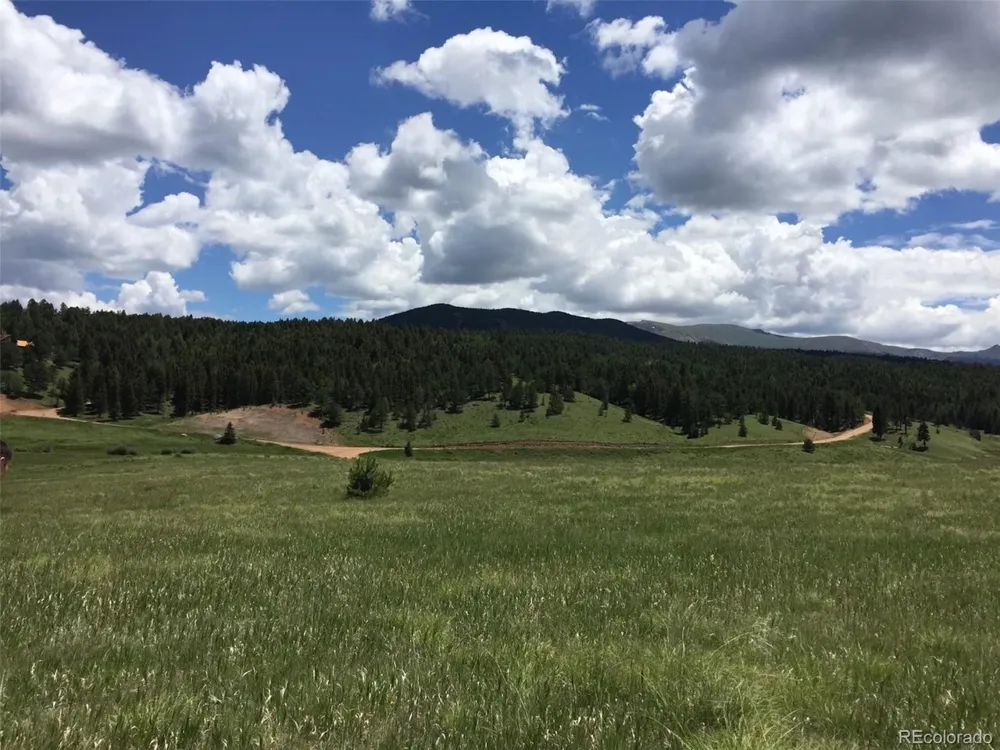 4600 Elk Valley Road Divide, CO 80814