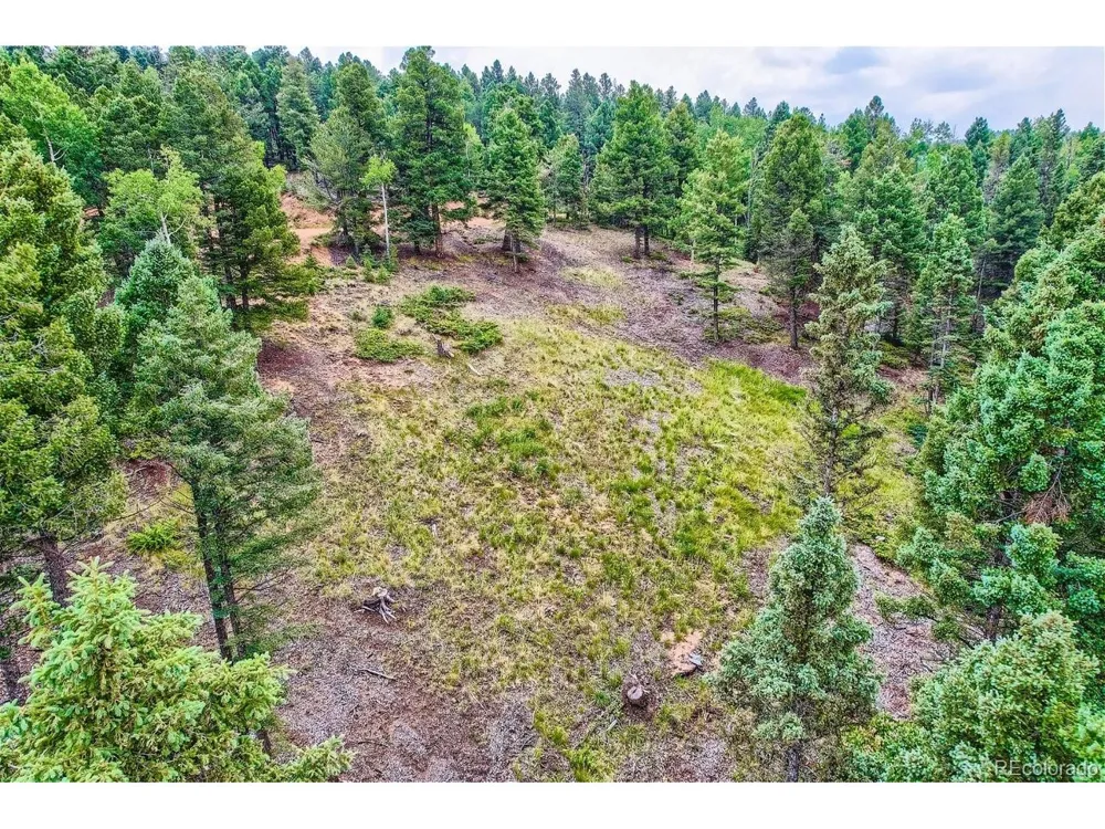 4600 Elk Valley Road Divide, CO 80814
