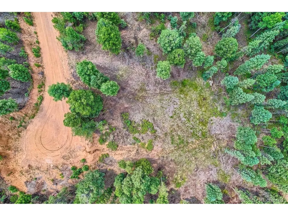 4600 Elk Valley Road Divide, CO 80814