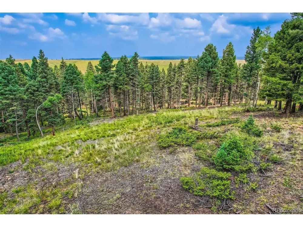 4600 Elk Valley Road Divide, CO 80814