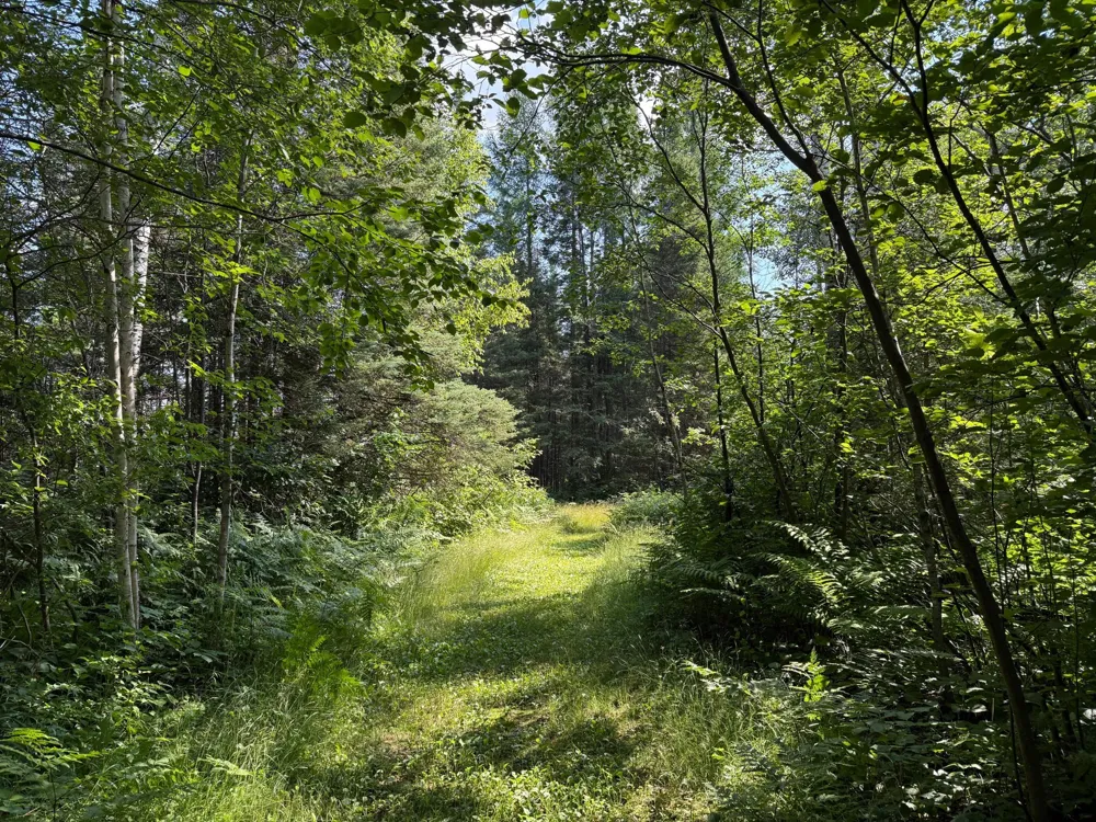 8124 Virginia Ely Rd. Babbitt, MN 55706
