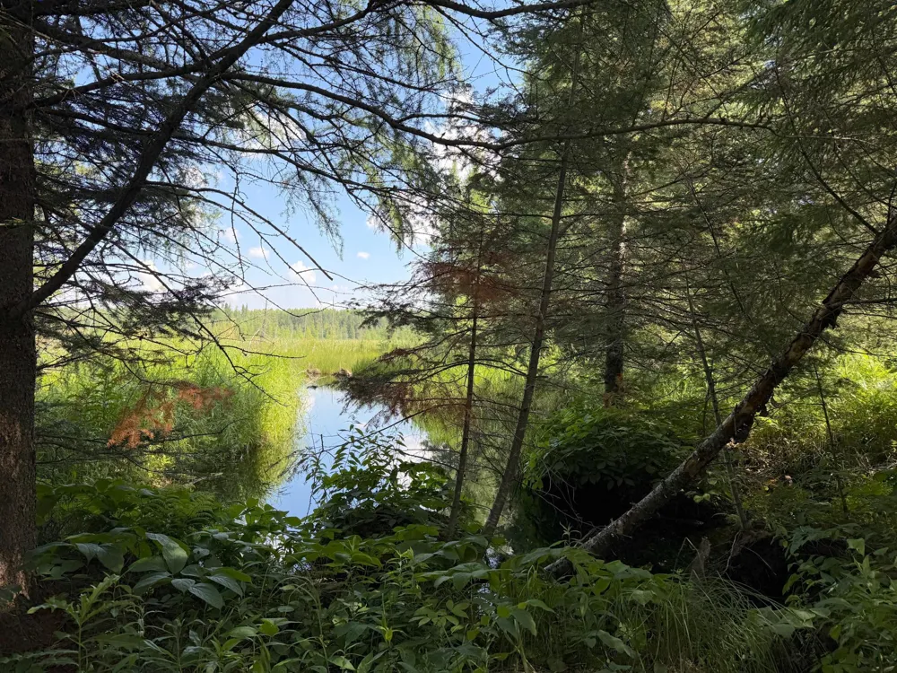 8124 Virginia Ely Rd. Babbitt, MN 55706