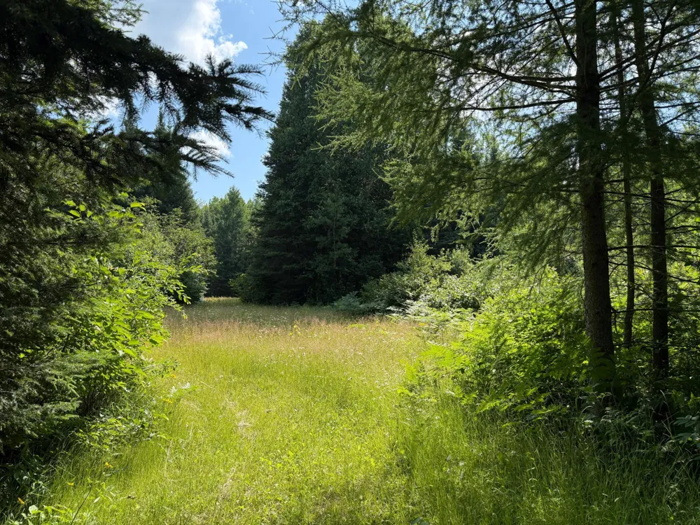 8124 Virginia Ely Rd. Babbitt, MN 55706