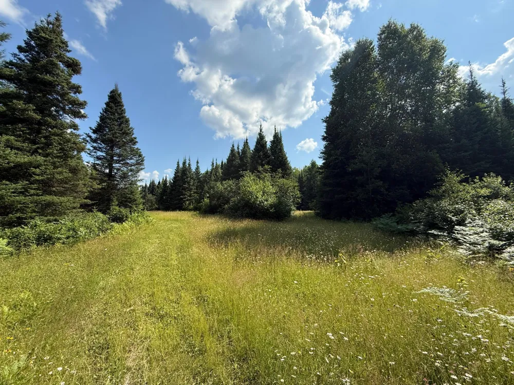 8124 Virginia Ely Rd. Babbitt, MN 55706