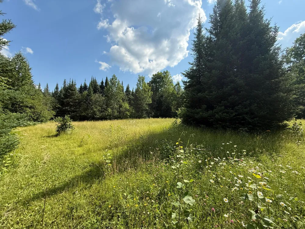 8124 Virginia Ely Rd. Babbitt, MN 55706