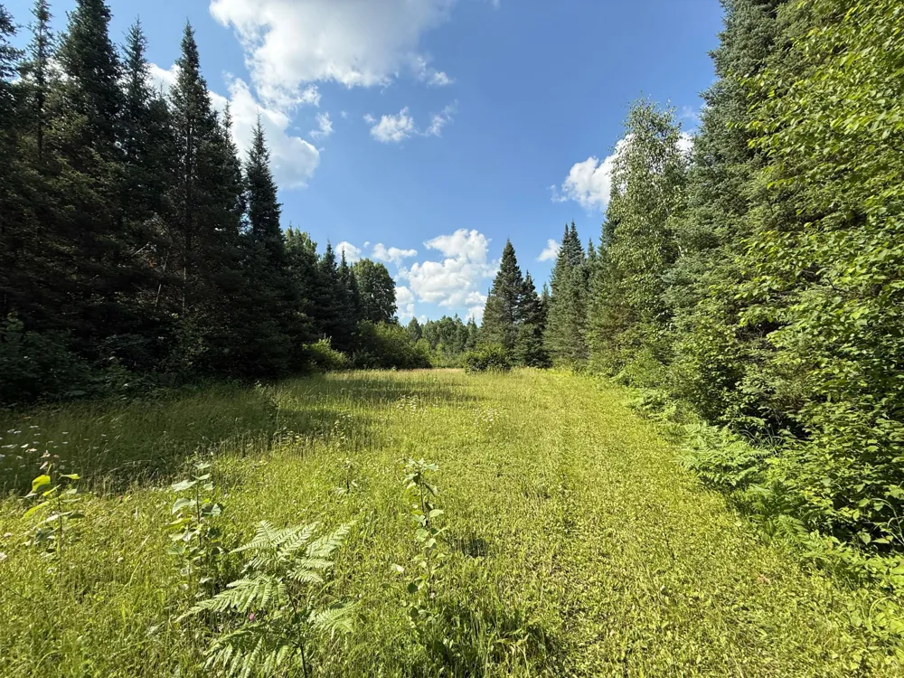 8124 Virginia Ely Rd. Babbitt, MN 55706