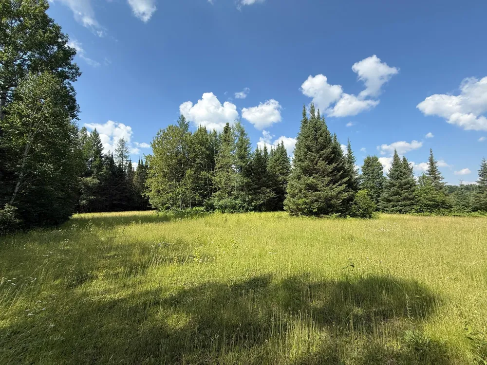 8124 Virginia Ely Rd. Babbitt, MN 55706