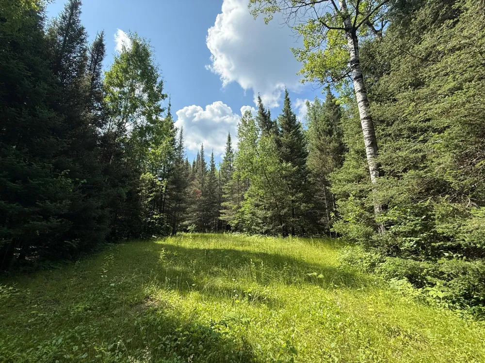 8124 Virginia Ely Rd. Babbitt, MN 55706