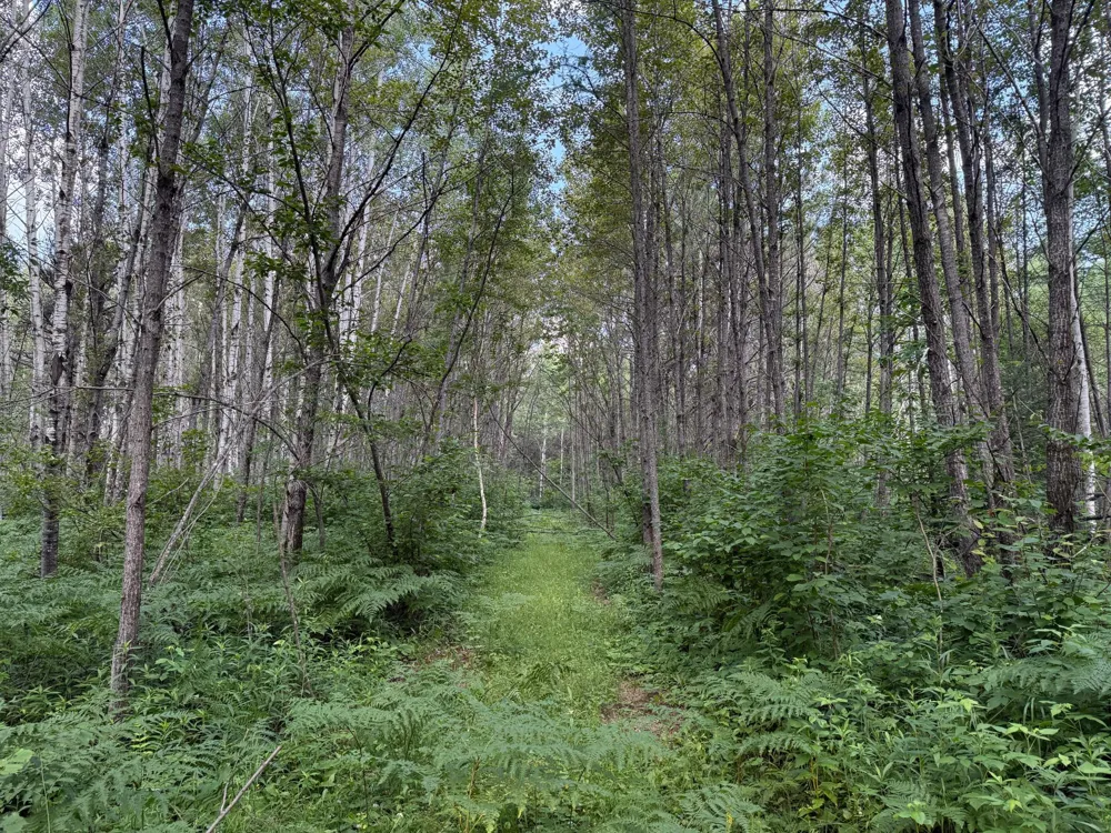 8124 Virginia Ely Rd. Babbitt, MN 55706