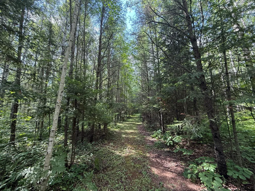 8124 Virginia Ely Rd. Babbitt, MN 55706