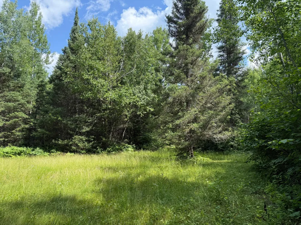 8124 Virginia Ely Rd. Babbitt, MN 55706