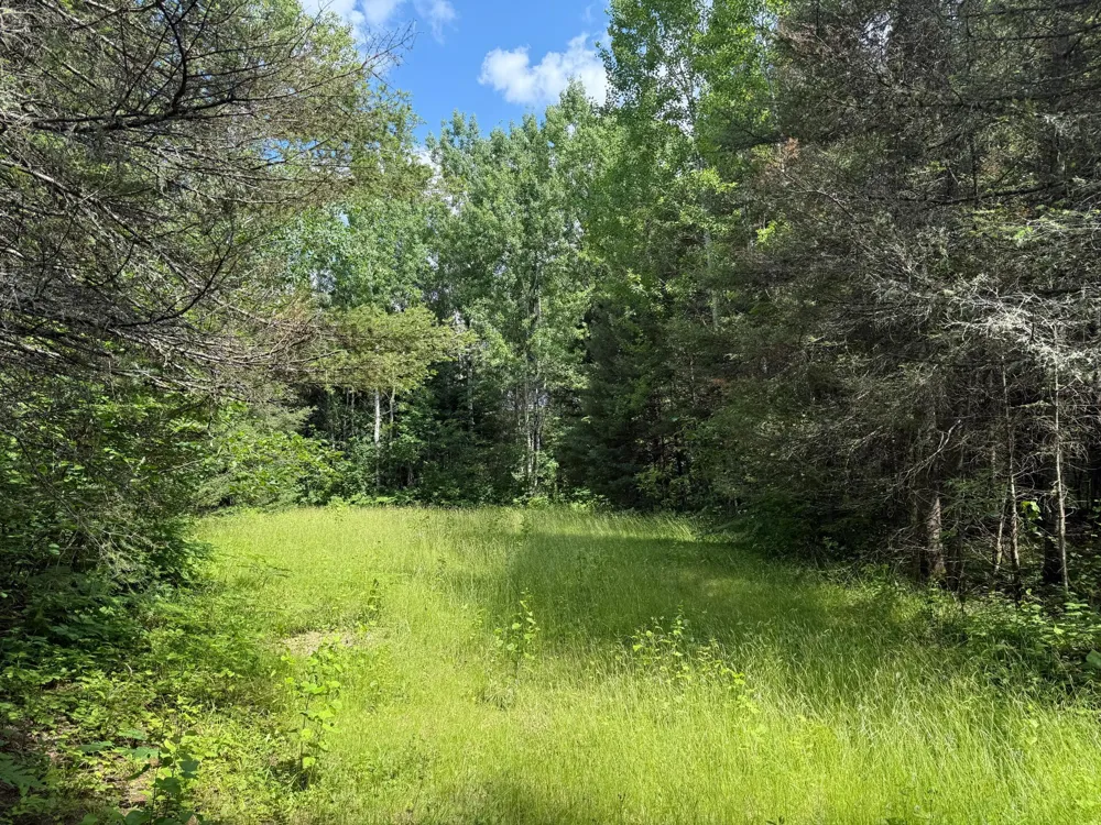 8124 Virginia Ely Rd. Babbitt, MN 55706